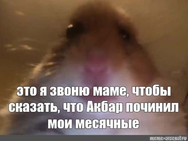 Хомяк Мем