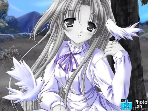 Няшка аниме Мем