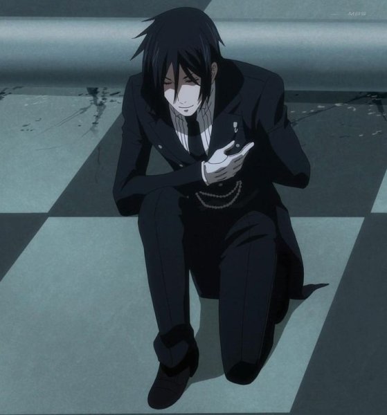 Себастьян Михаэлис на колене