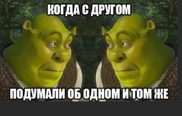 Смешные мемы со Шреком