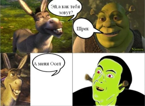 Мемы Шрек и осел