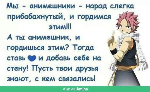 День АНИМЕШНИКА