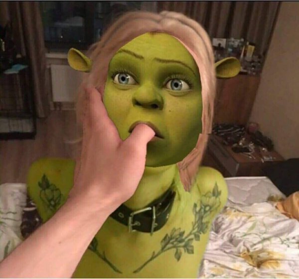 Чимичанги Фиона Шрек