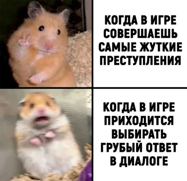 Хомячки мемы