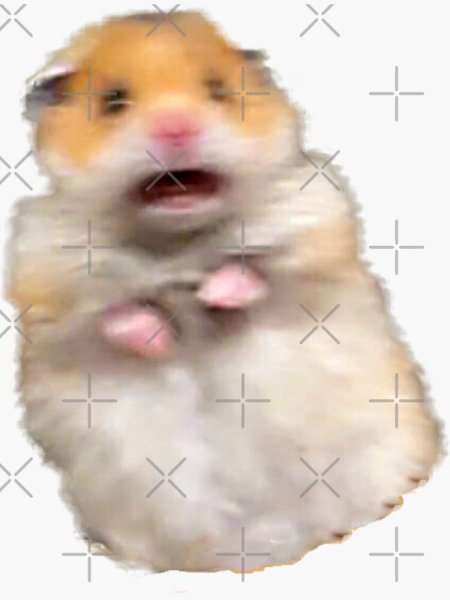 Мемы с хомяками