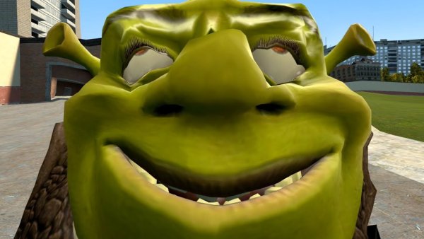 Шрек флексит