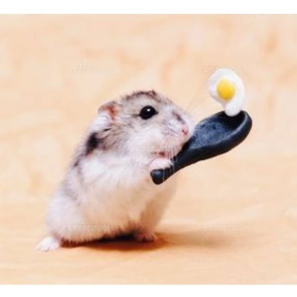 Хитрый хомяк