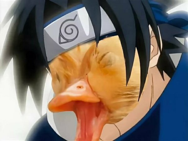 Саске петух