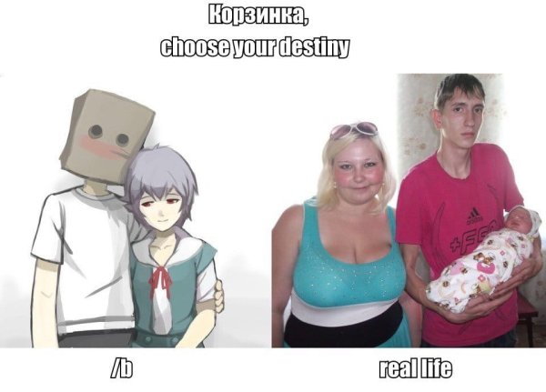 Типичный Битард