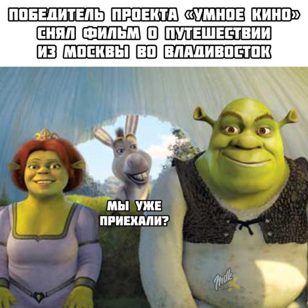 Приехали с ослом из шрека