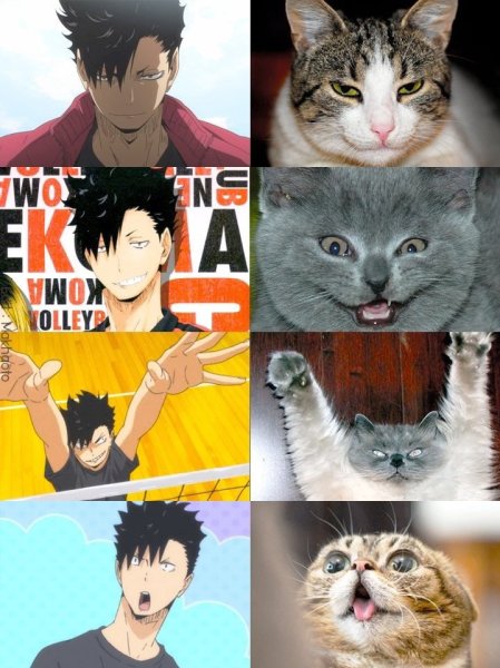 Haikyuu мемы