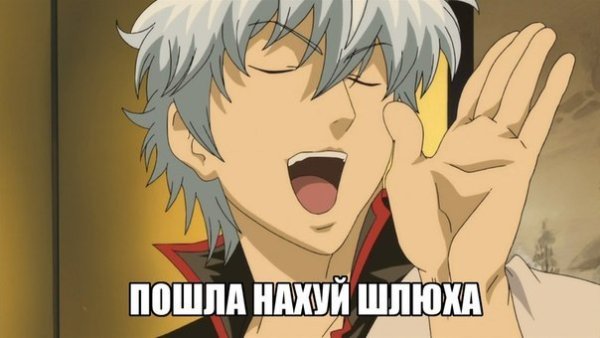 Аниме оскорбления