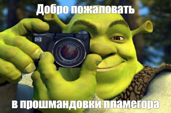 Шрек с мечом