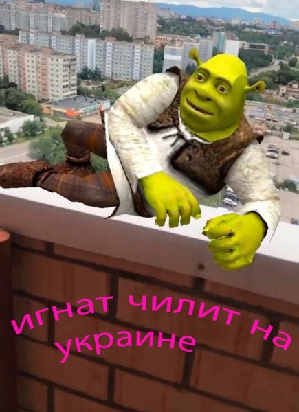 Шрек инженер