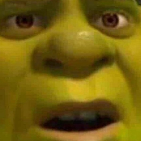 Извини Шрек