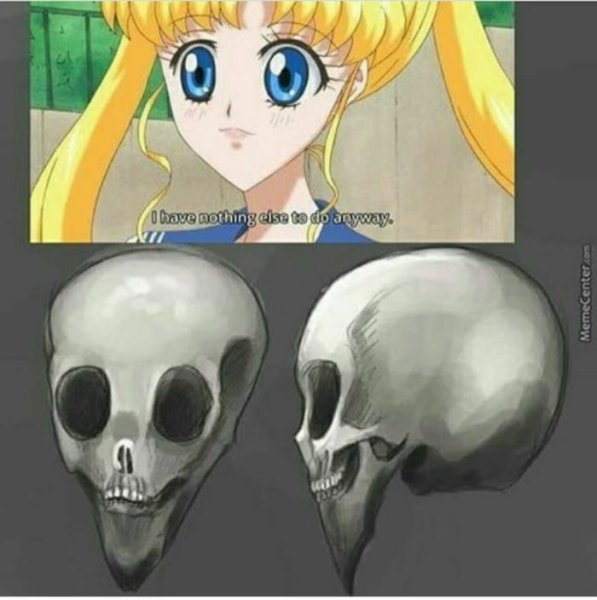 Строение черепа в аниме