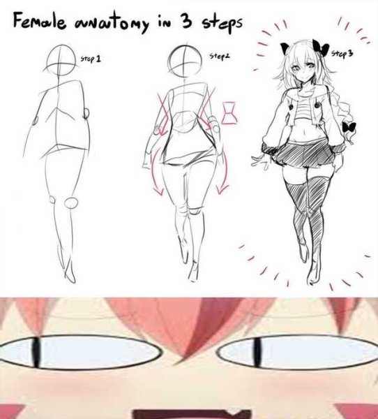 Аниме анатомия
