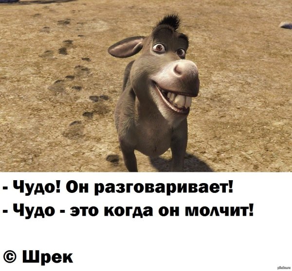 Осел Мем