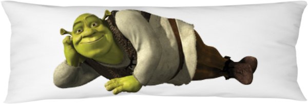 Спасибо за внимание Шрек