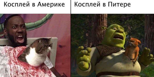 Мемы со Шреком без мата