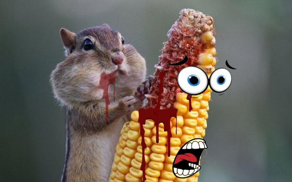 Хомяк пофол нафуй