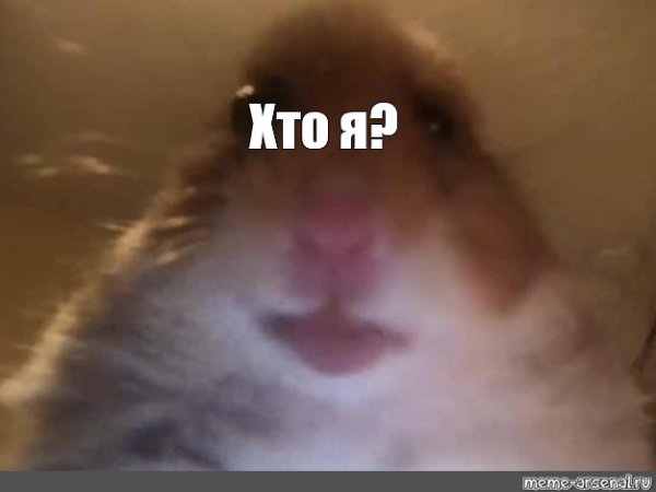 Хомяк Мем