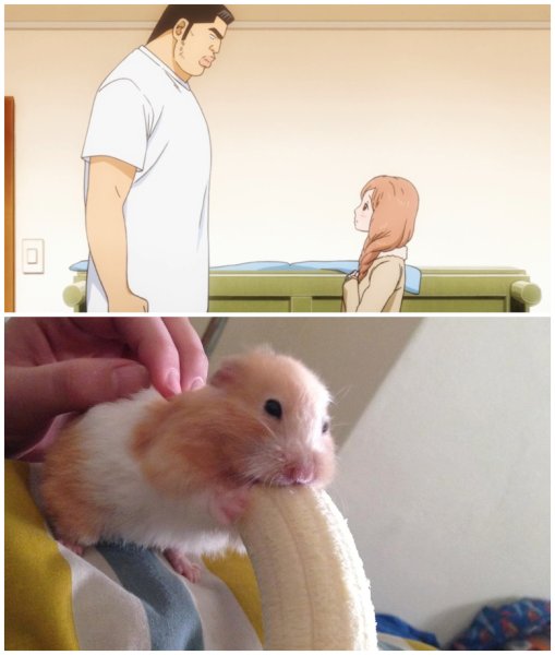 Хомяк и банан