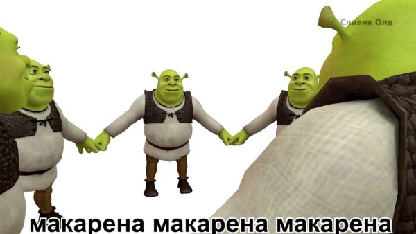 Мем Макарена Макарена Макарена Шрек