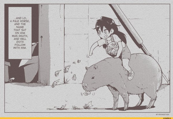 Капибара аниме