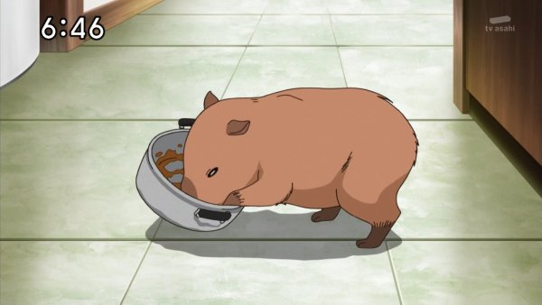 Капибара Джо Джо