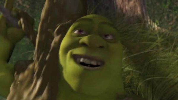 Шрек и Фиона в грязевой ванне