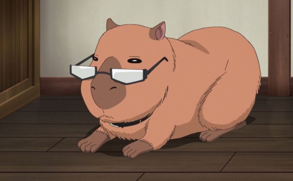 Капибара аниме