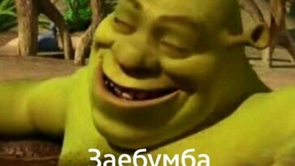 Шрек заебумба