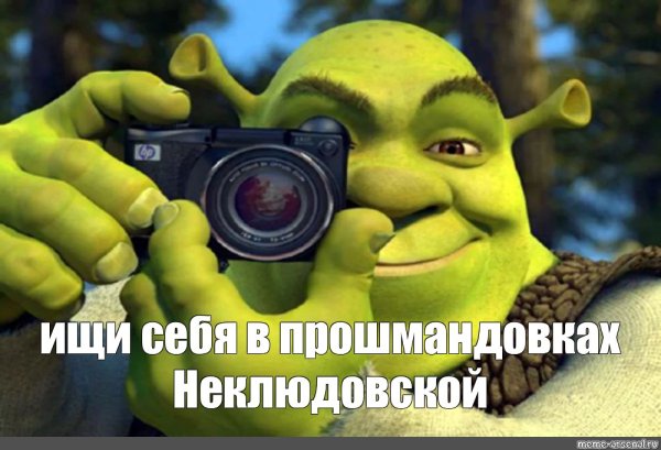 Шрек с фотоаппаратом