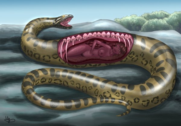 ТИТАНОБОА змея монстр