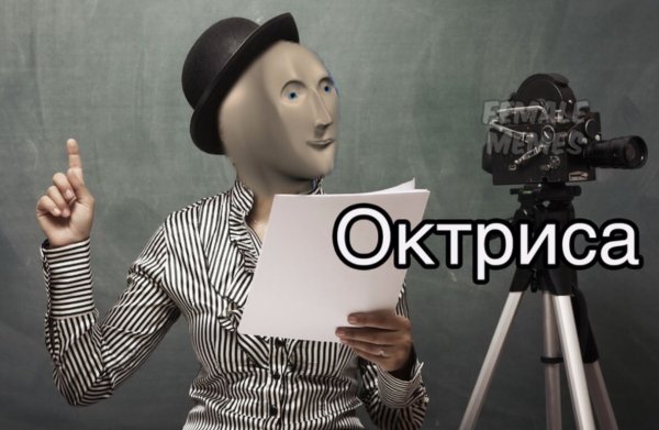 Stonks актриса