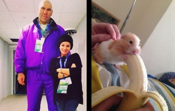 Хомяк и банан прикол