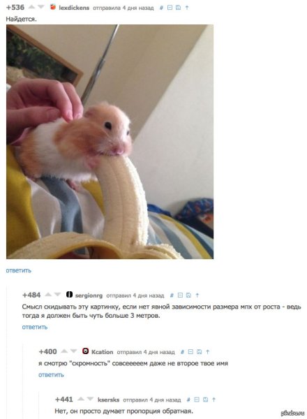 Шутка про хомяка и банан