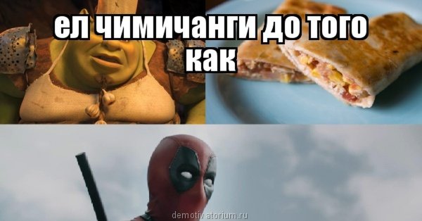 Повар из Шрека