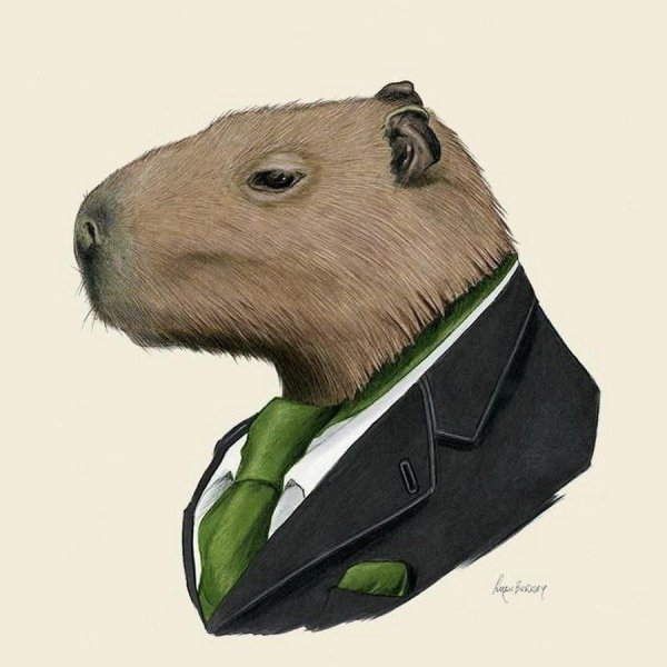 Капибара аниме