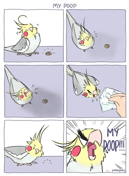 Комиксы про птиц