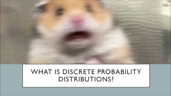 Хомяк испугался