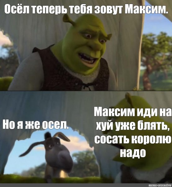Мемы Шрек и осел