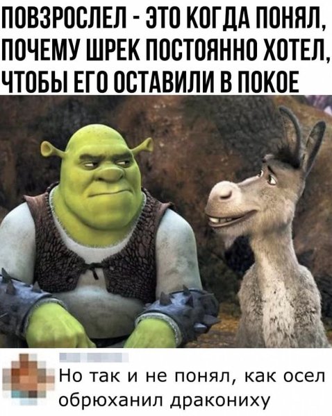 Прикольный Шрек