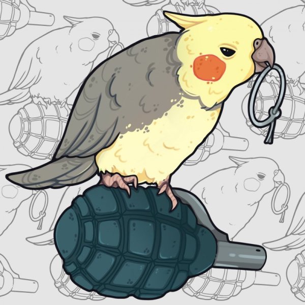 Аниме попугай