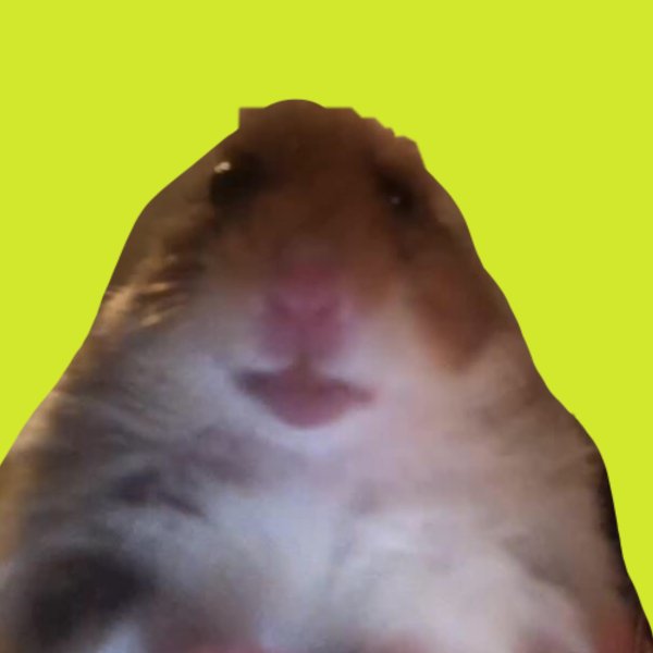 Аватарка хомяка