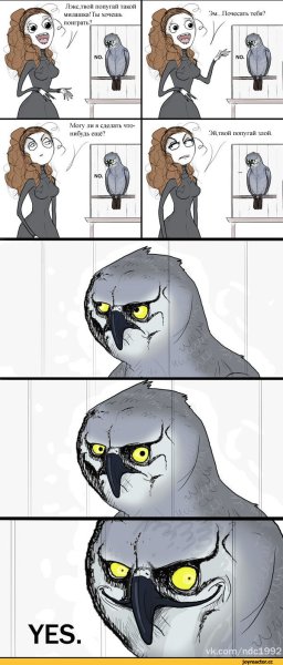 Комиксы с мемами