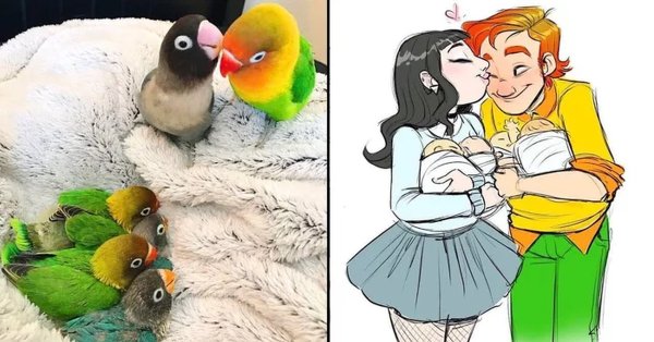 Попугай в виде человека