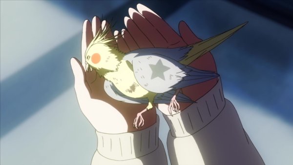 Гуль голубь голубь Токийский