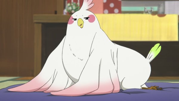 ТОРАДОРА аниме попугай